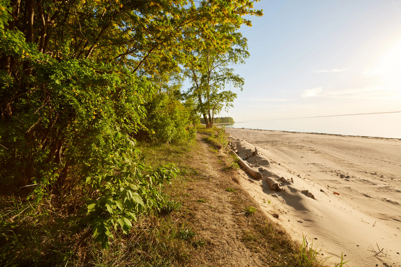 Апартаменты Парус