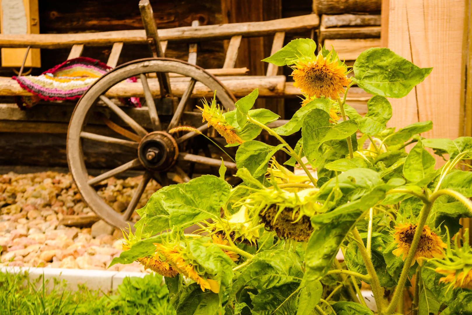 Гостевой дом Усадьба Беловежское Поместье
