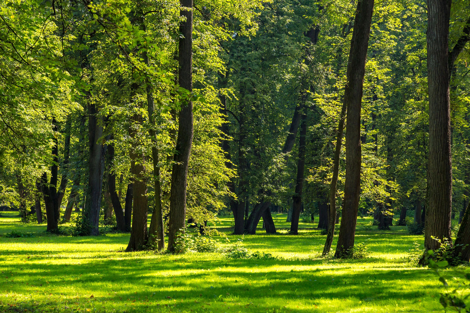 Отель Волынское Конгресс-Парк