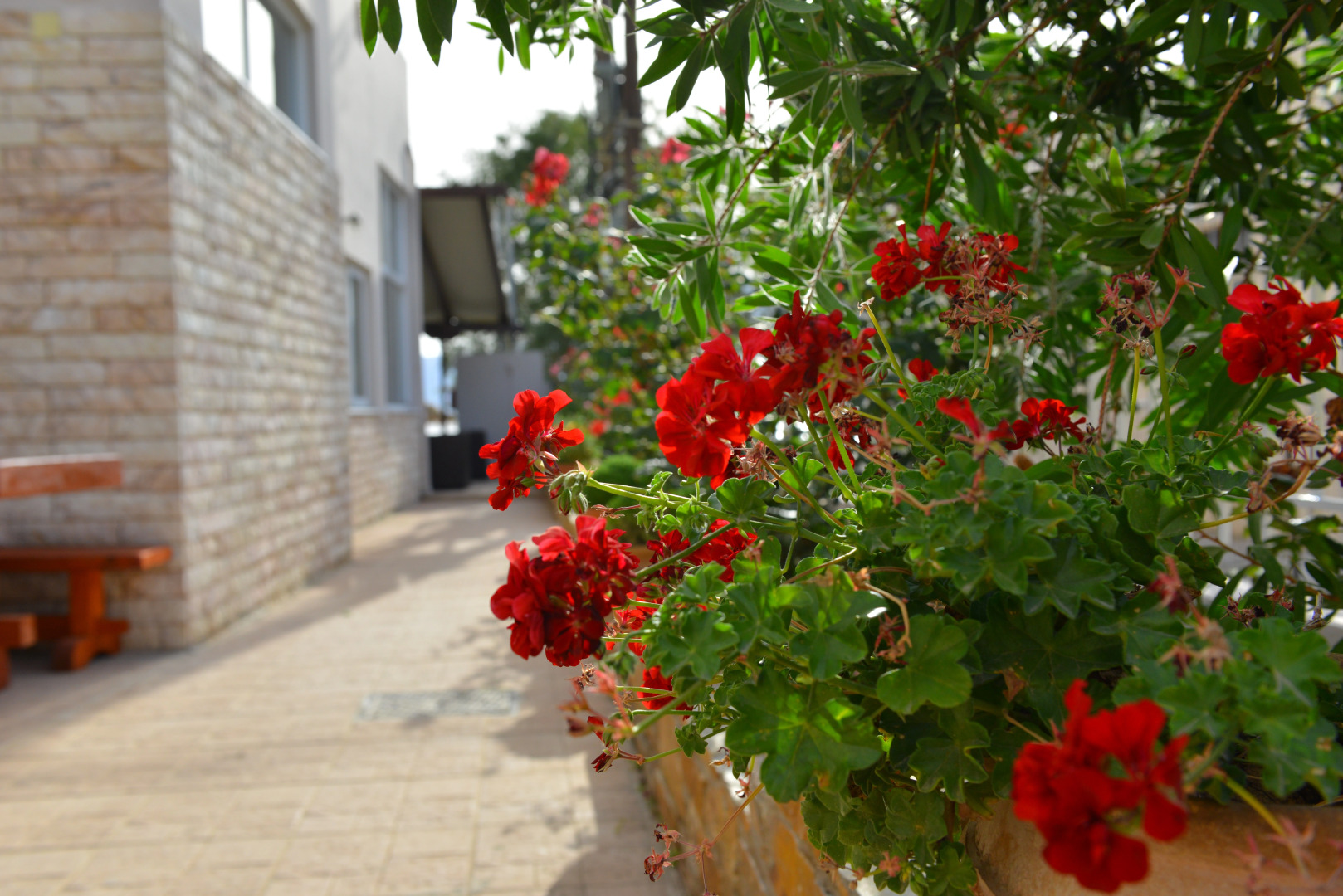 Апарт-Отель Korali