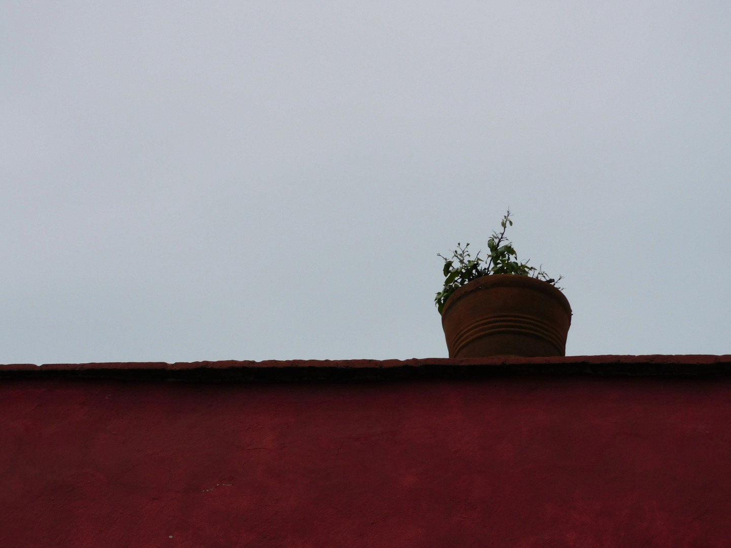 Отель La Quinta Luna Culture By Rotamundos