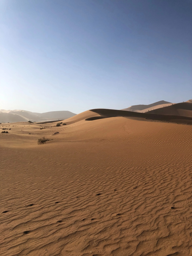 Кемпинг Aroma Desert Safari