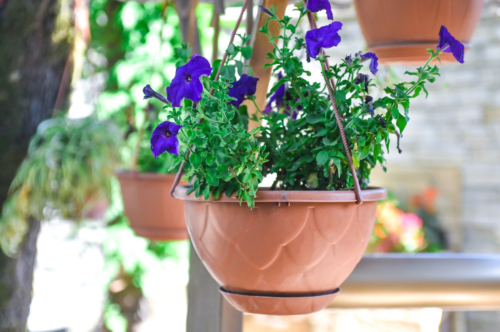 Гостевой дом София Грузия Кутаиси ул, Зугдидская 17