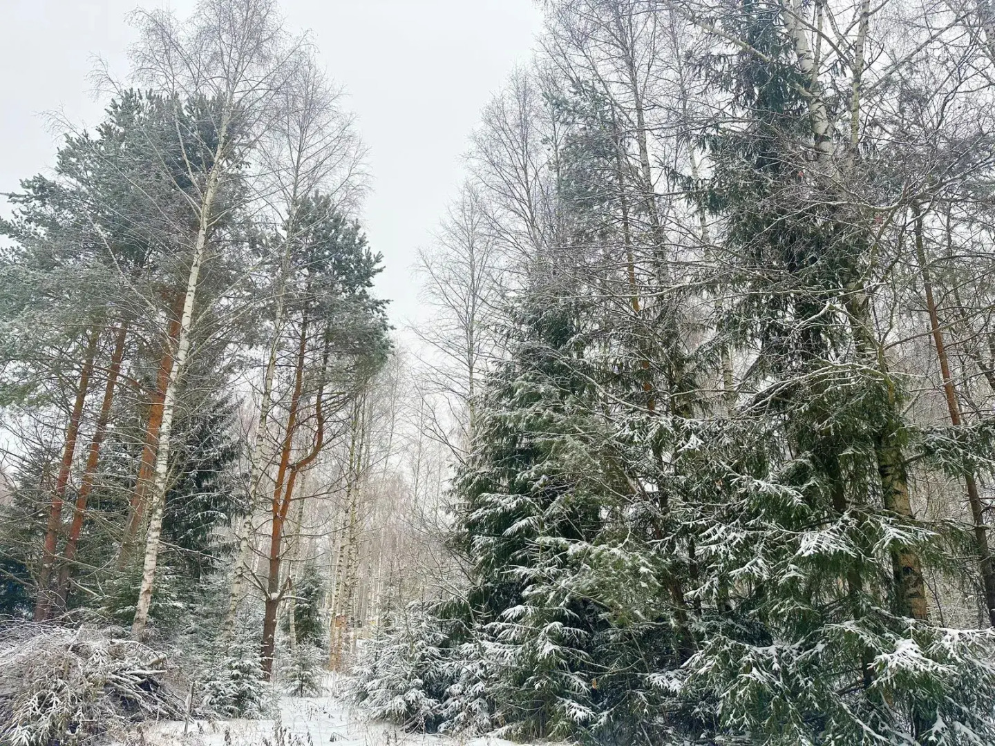 Частный дом.Коттедж.С баней и чаном.Гжельский Рай.