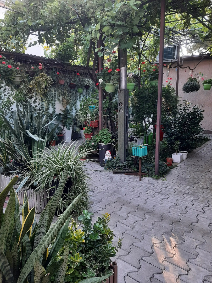 Гостевой дом Тенистый дворик