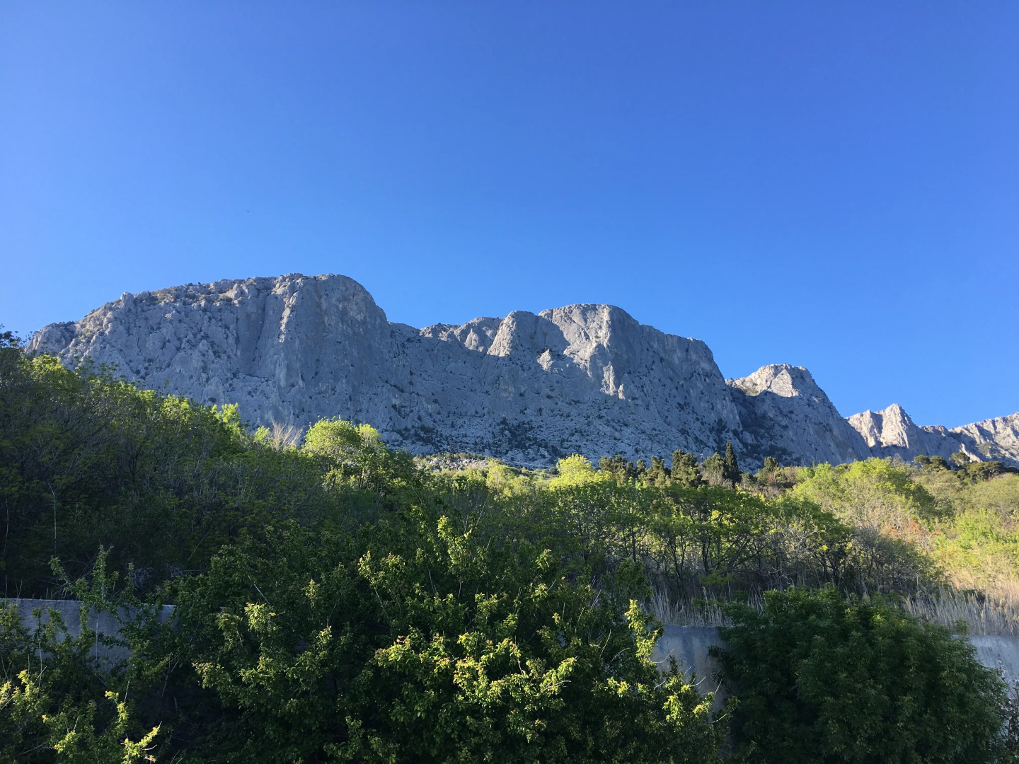 Апартаменты кв.36  "Форосский берег"