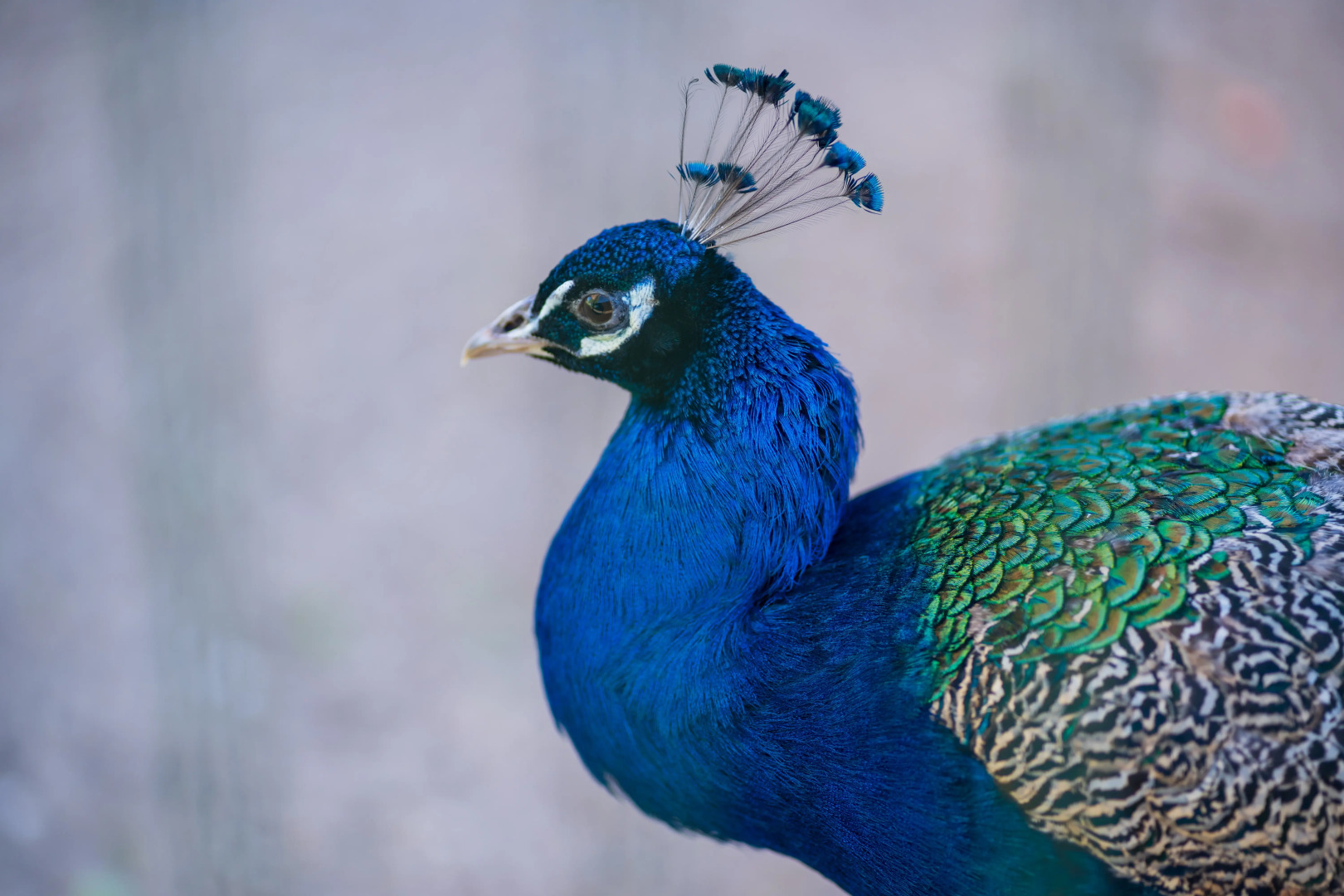 Отель Комплекc Загородного отдыха  Место 7