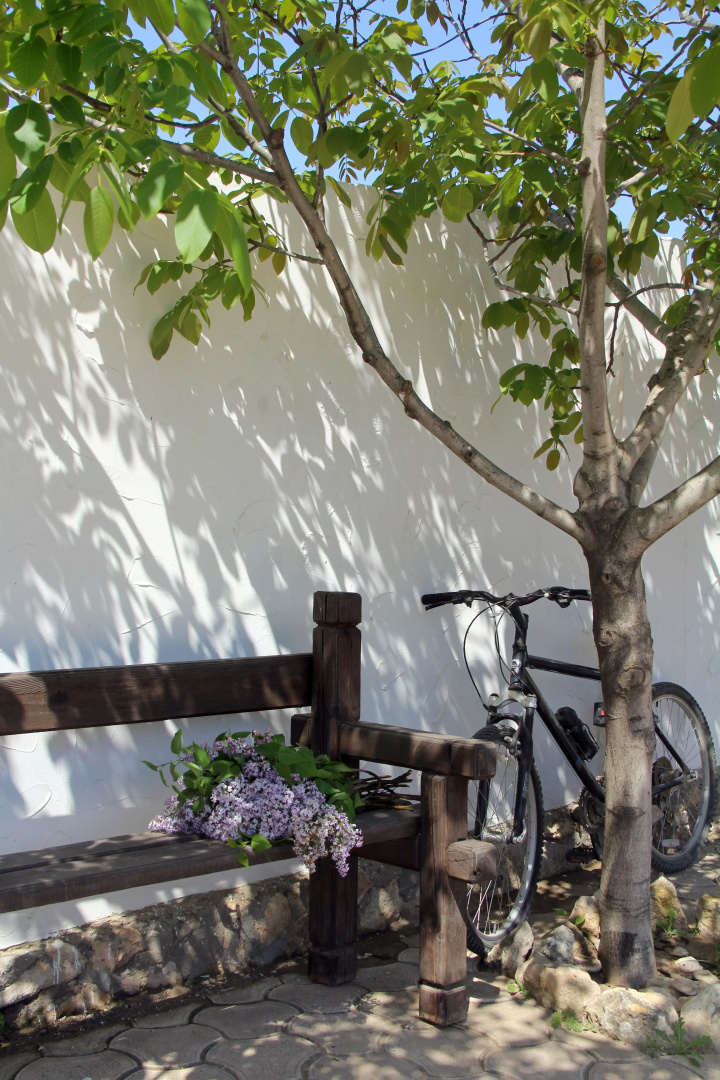 Zhemchuzhina Stepi Guest House