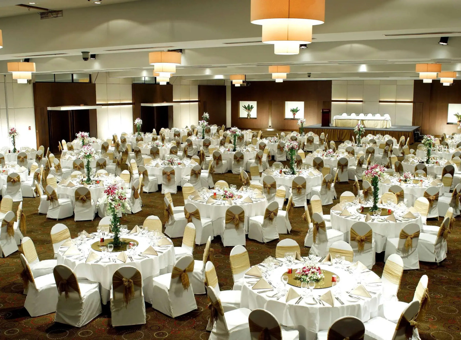 Отель Radisson Blu Dhaka Water Garden