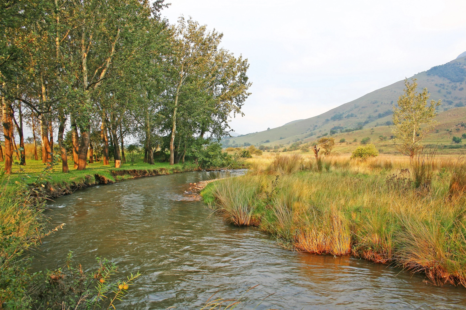 Гостевой Дом Verlorenkloof