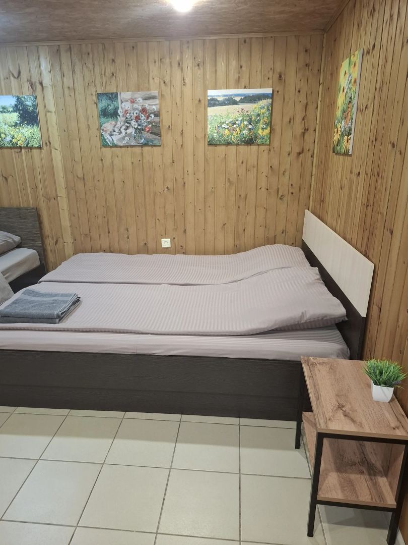 Частный дом в Павловске