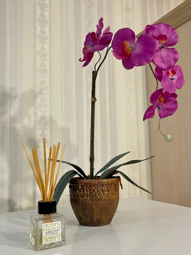 Апартаменты с Шикарным Видом на Море и горы