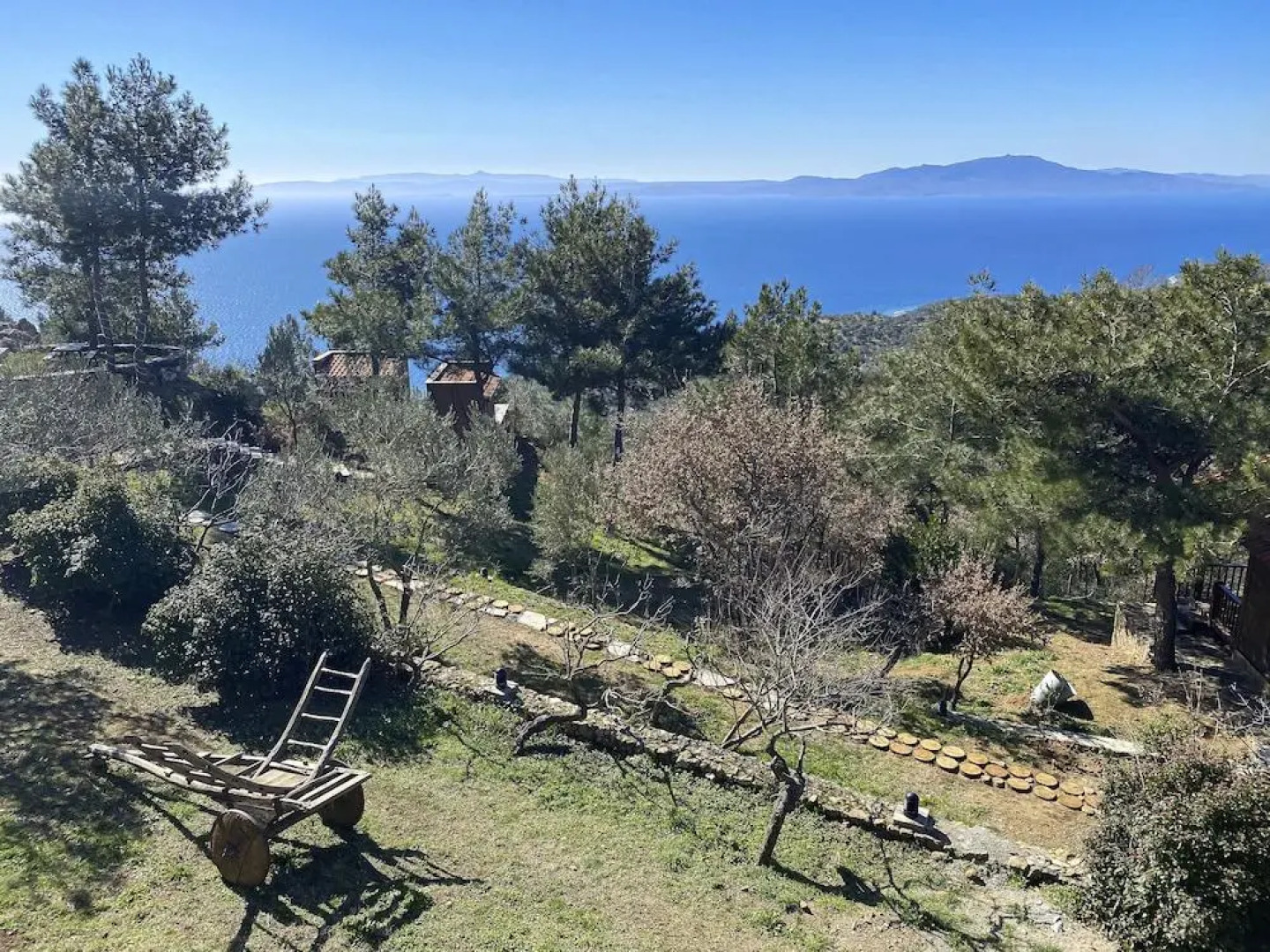 Отель Simurg Inn