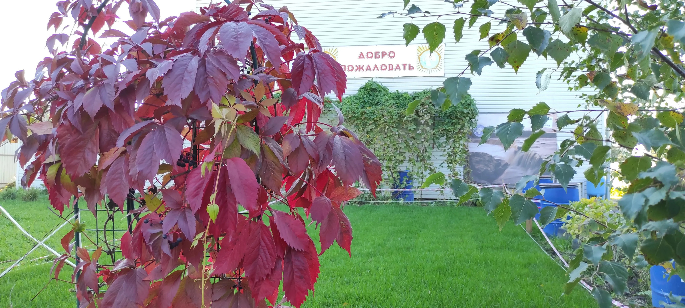 Гостевой дом туриста в Саблино