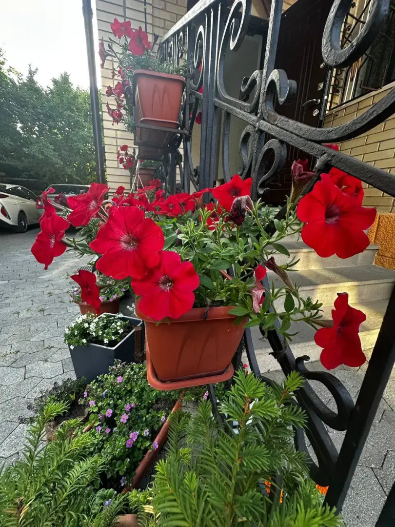 Гостевой дом Лотос