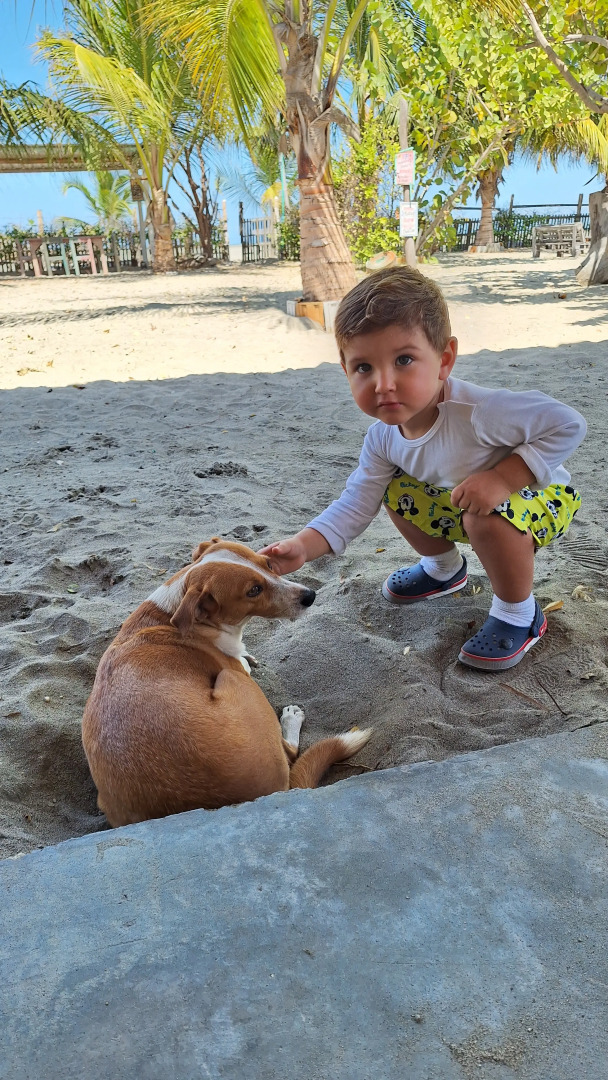 Ночлег и завтрак (B&B) Chevere Beach Hotel Frente Al Mar