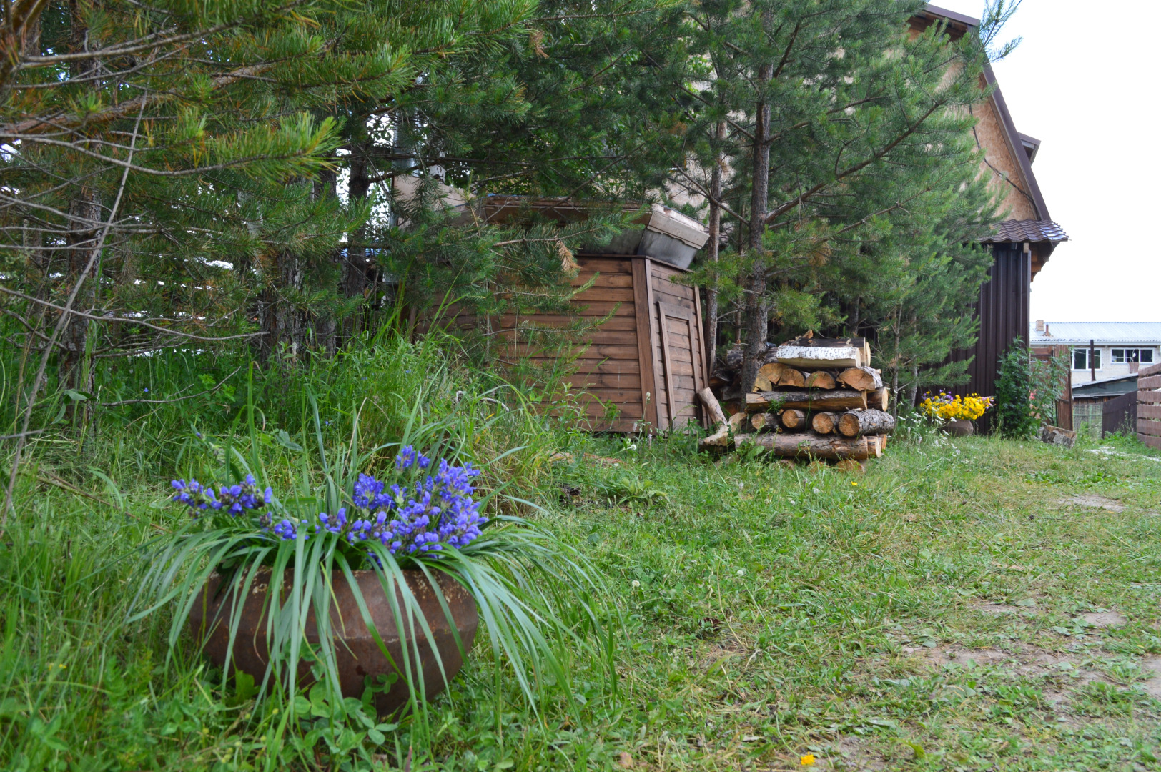 Гостевой дом Евразия