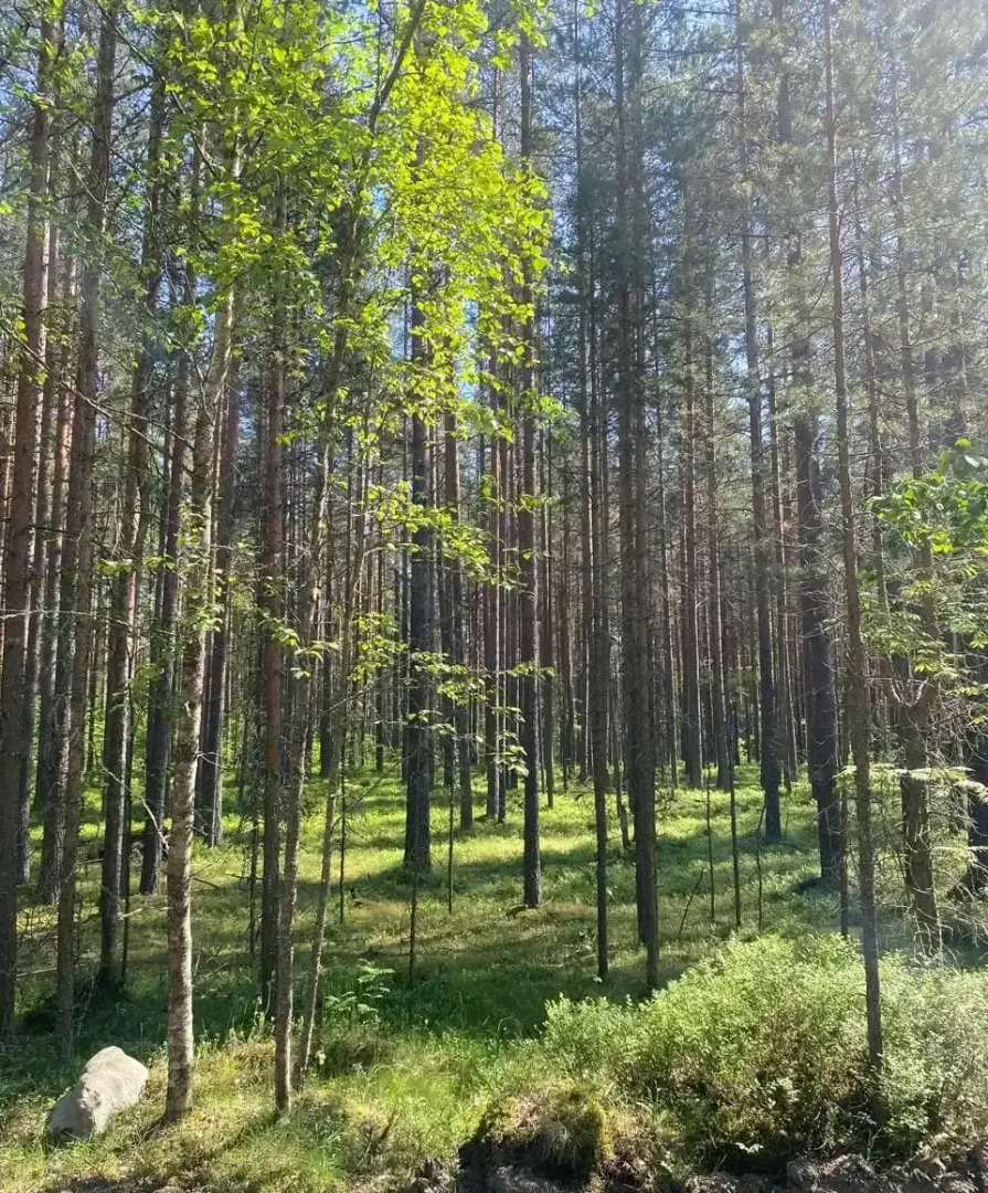 Частный дом в Скандинавском стиле Ладога и маяк Vuohensalo в шаговой доступности