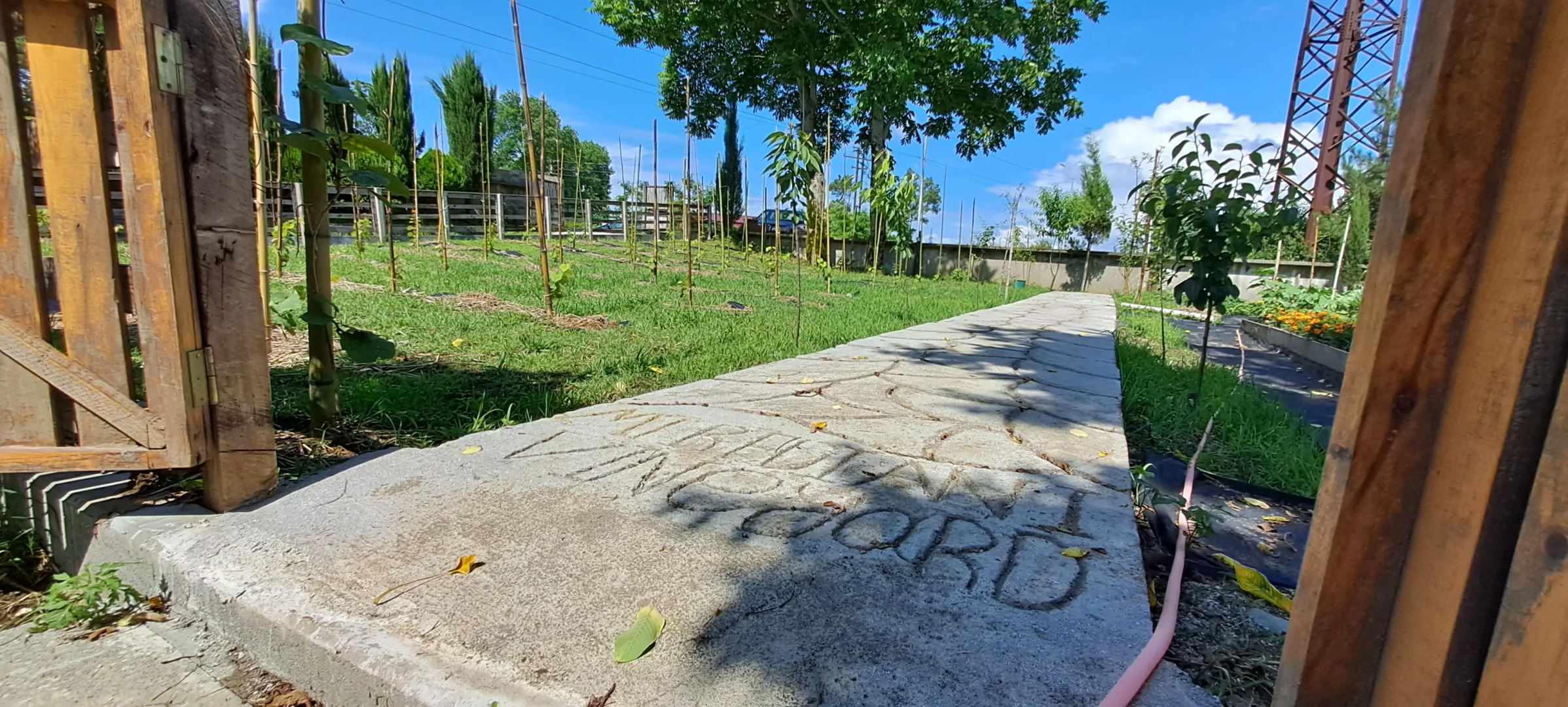 Апарт-отель Mtrediani Wine Lodge