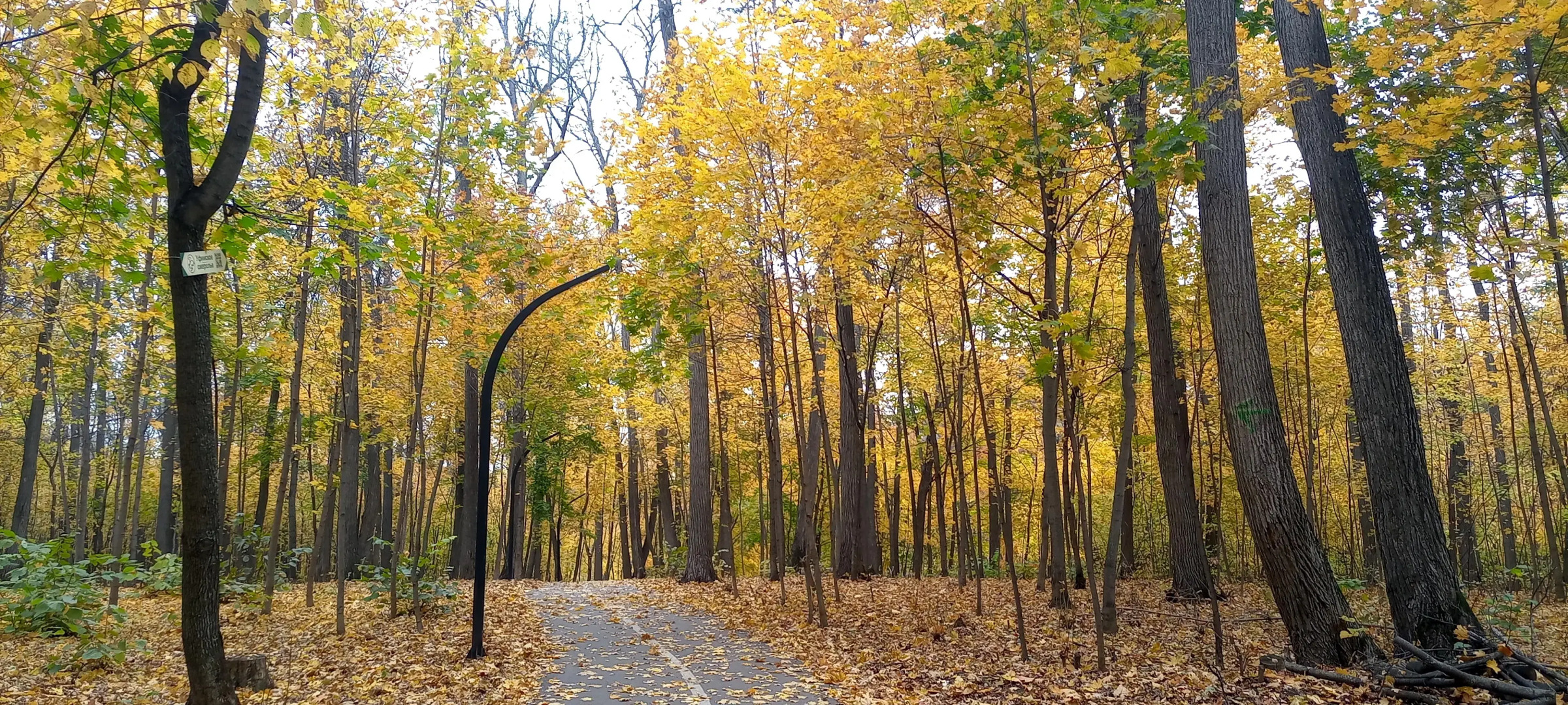 Апартаменты MyHomeUfa Lux на Шафиева