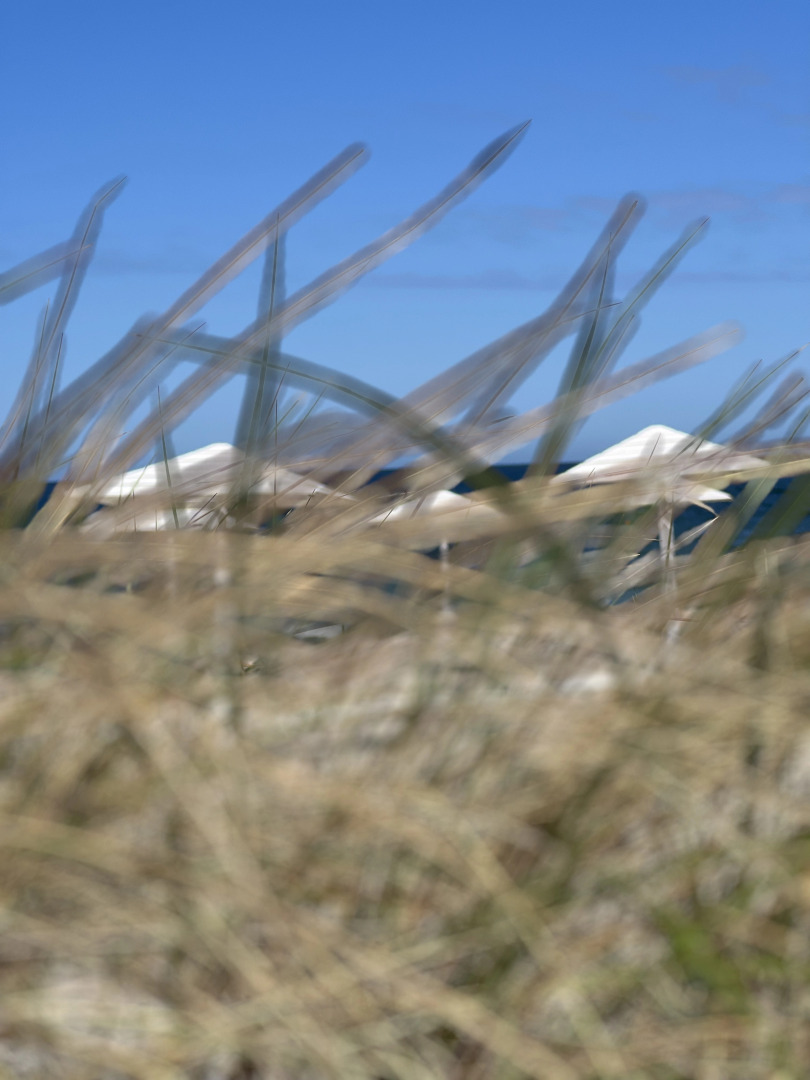 Шале Уютная дача на море