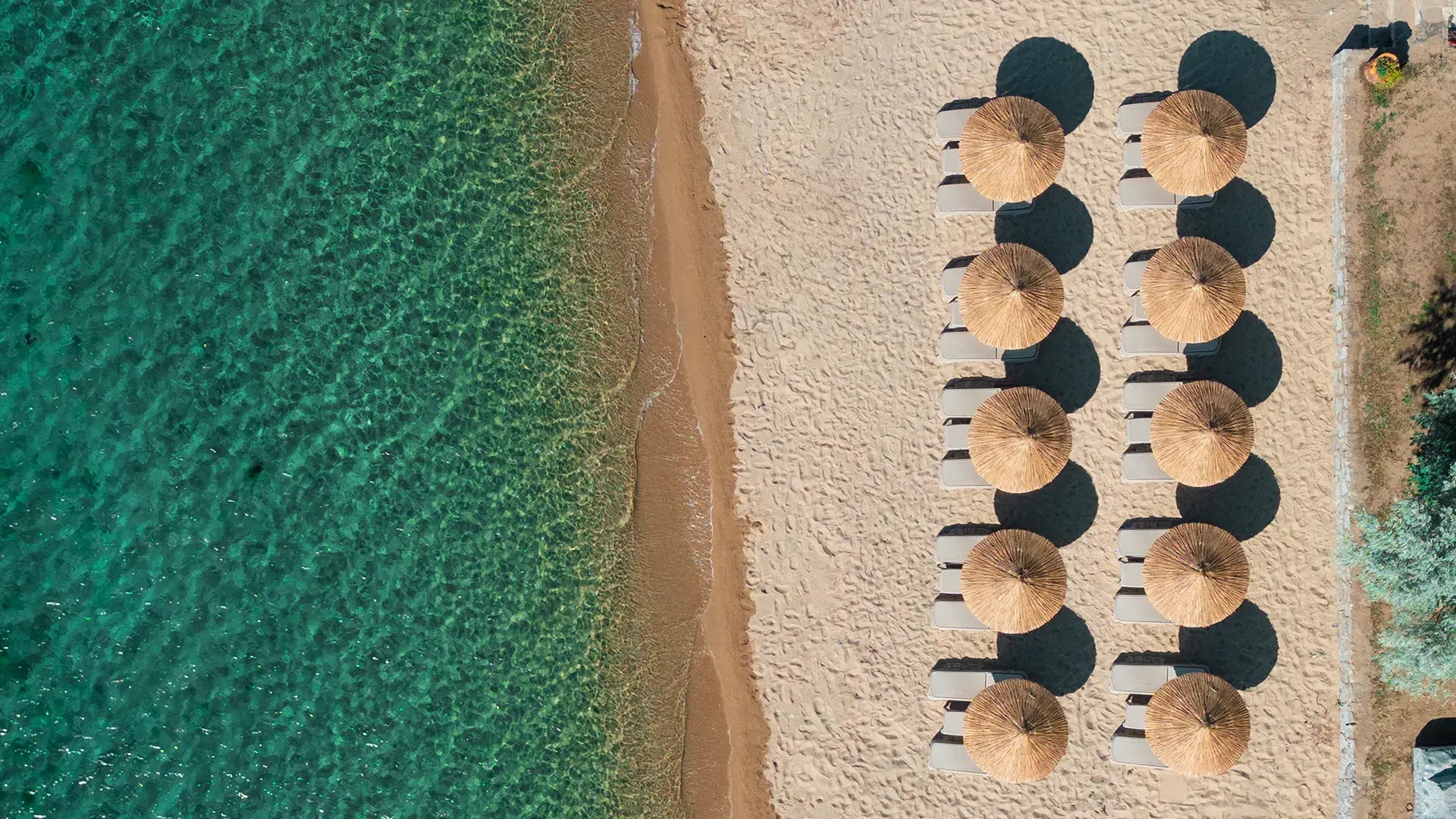 Отель Avsa Artemis