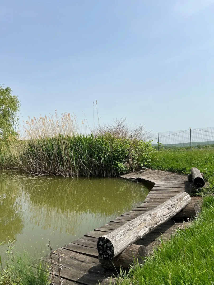 Отель Черкесский Аул