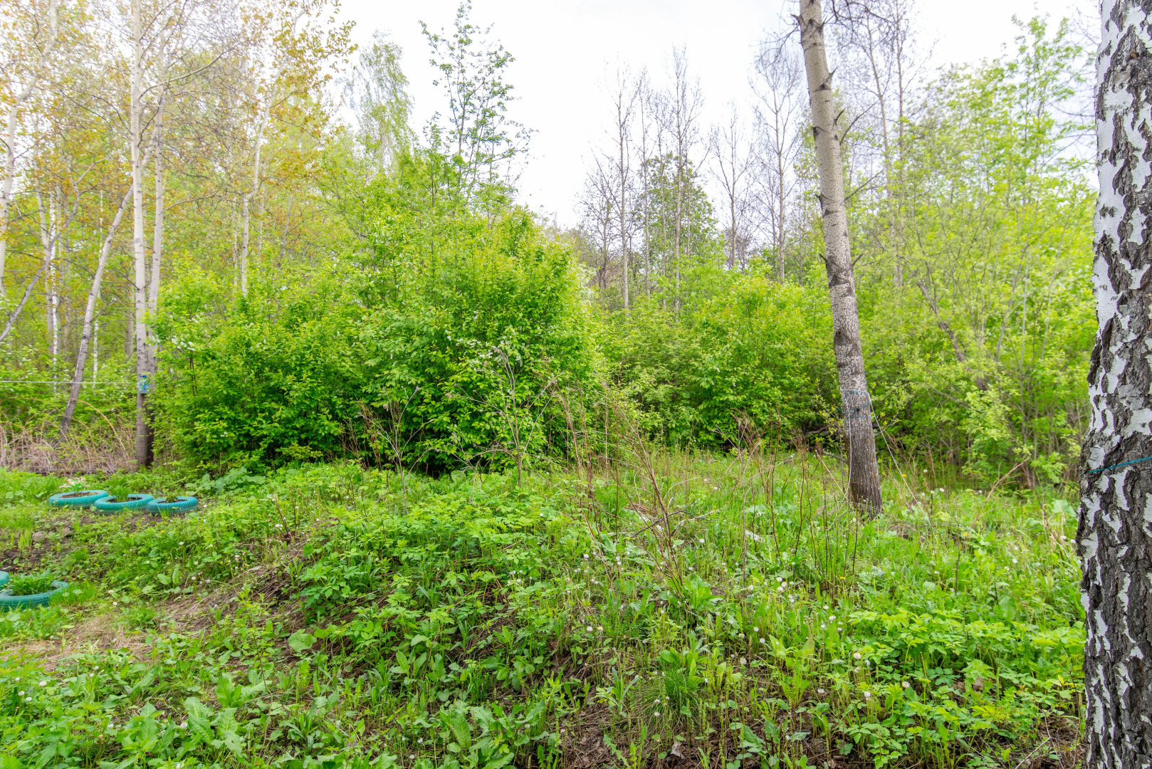 Апартаменты студия NHome Вторые Мичуринские