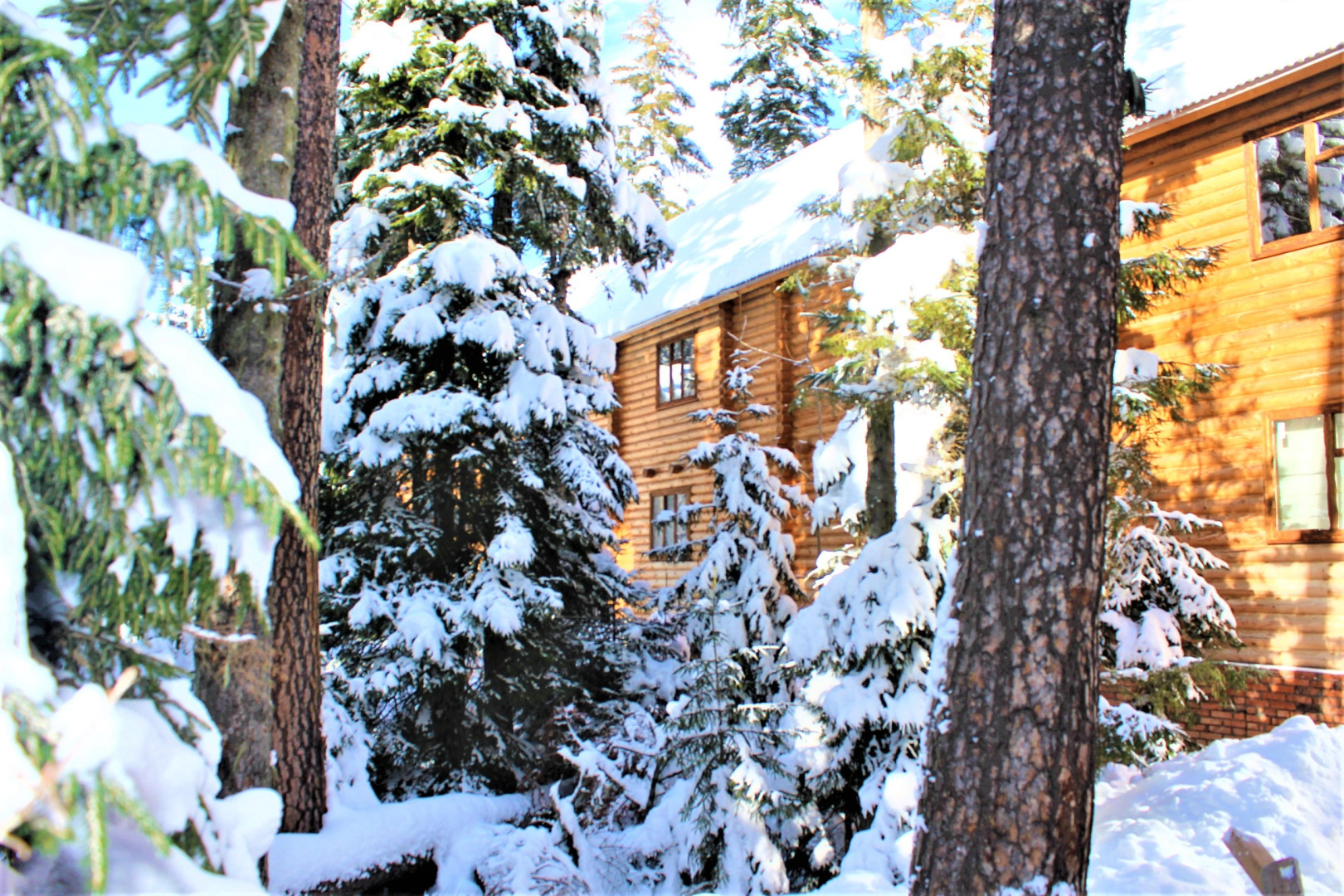 Отель Таурух