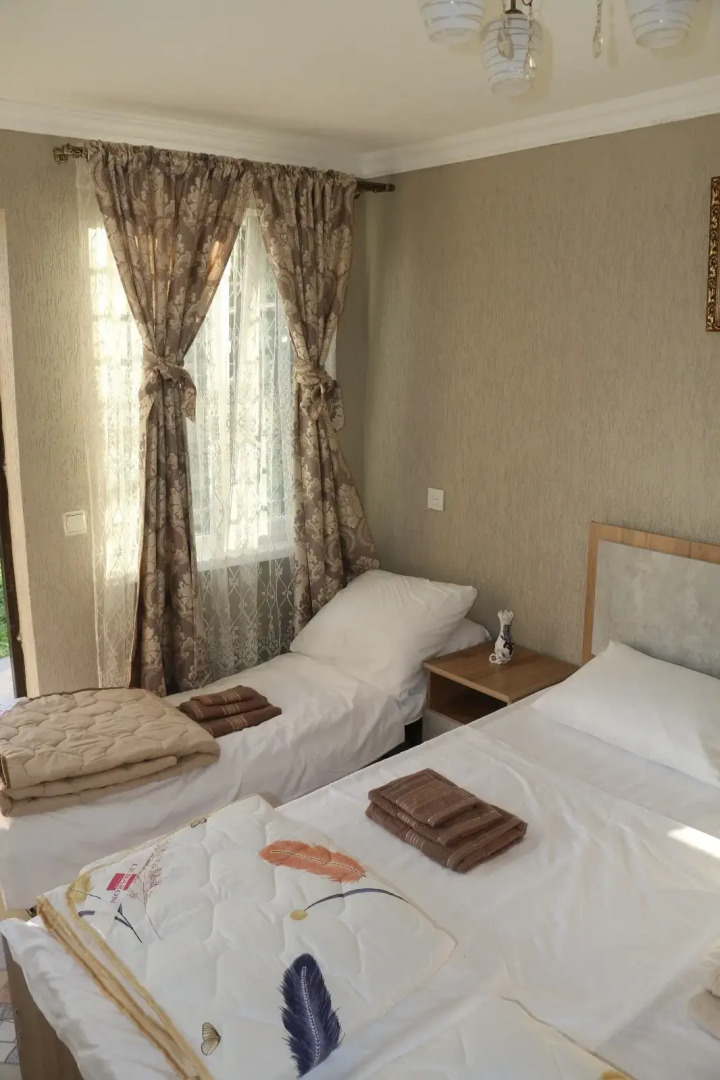 Меблированные комнаты Орхидея