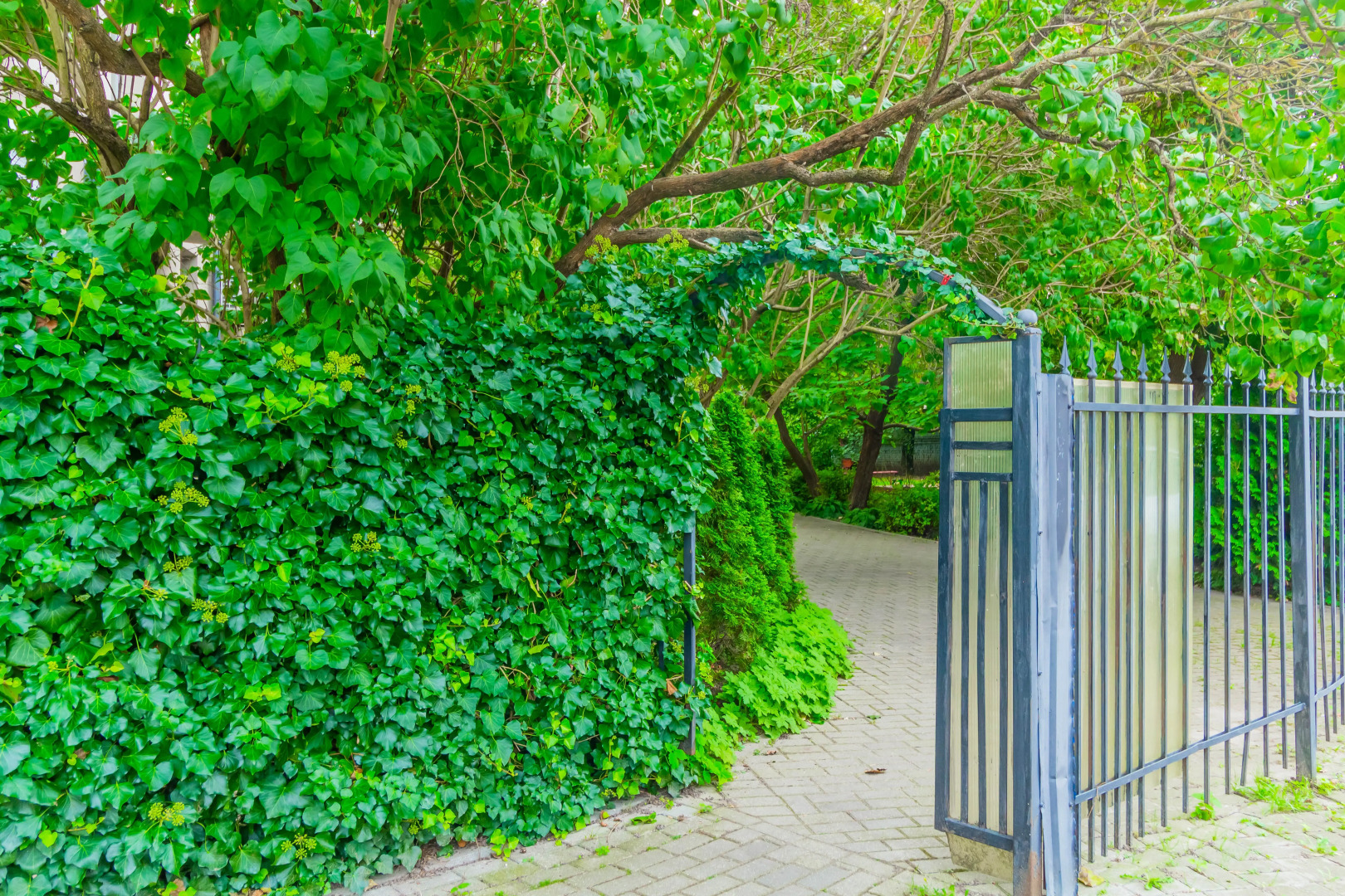 Апартаменты улучшенные в центре Гринн Сад