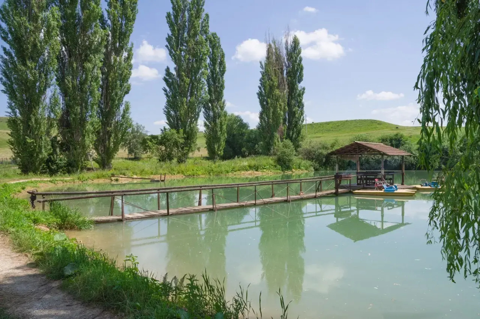 Частный дом Эко Базель