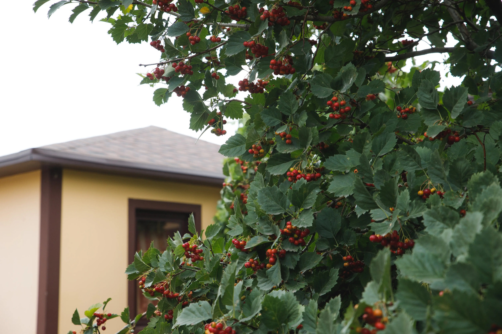 Мини-отель Территория отдыха мах