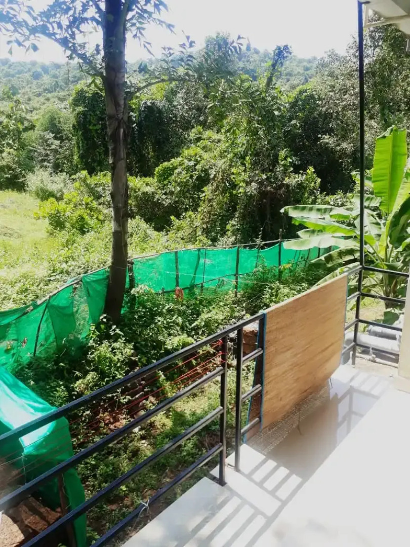 Мини-Отель The Lunara Escape