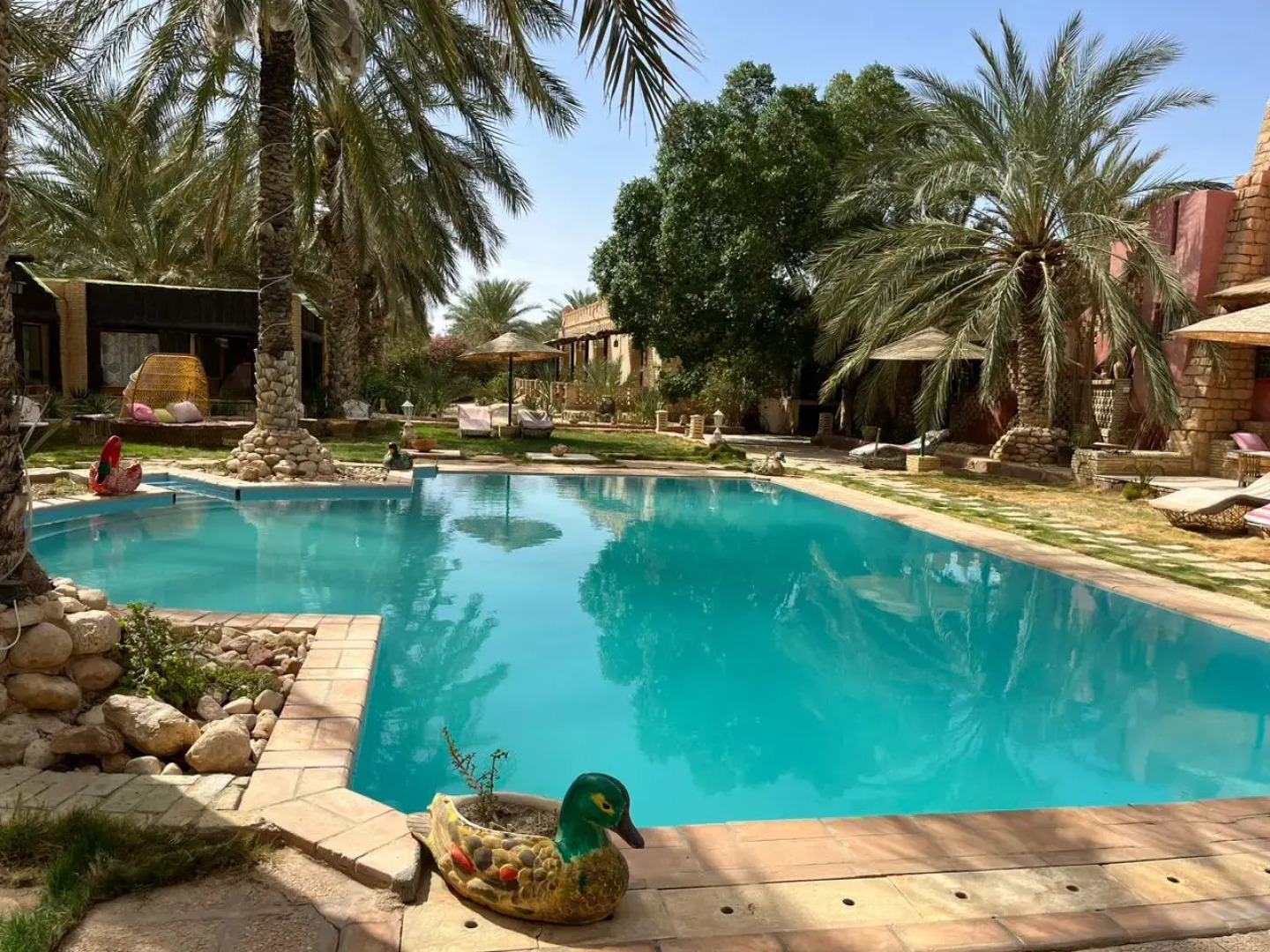 Гостевой дом DAR HORCHANI