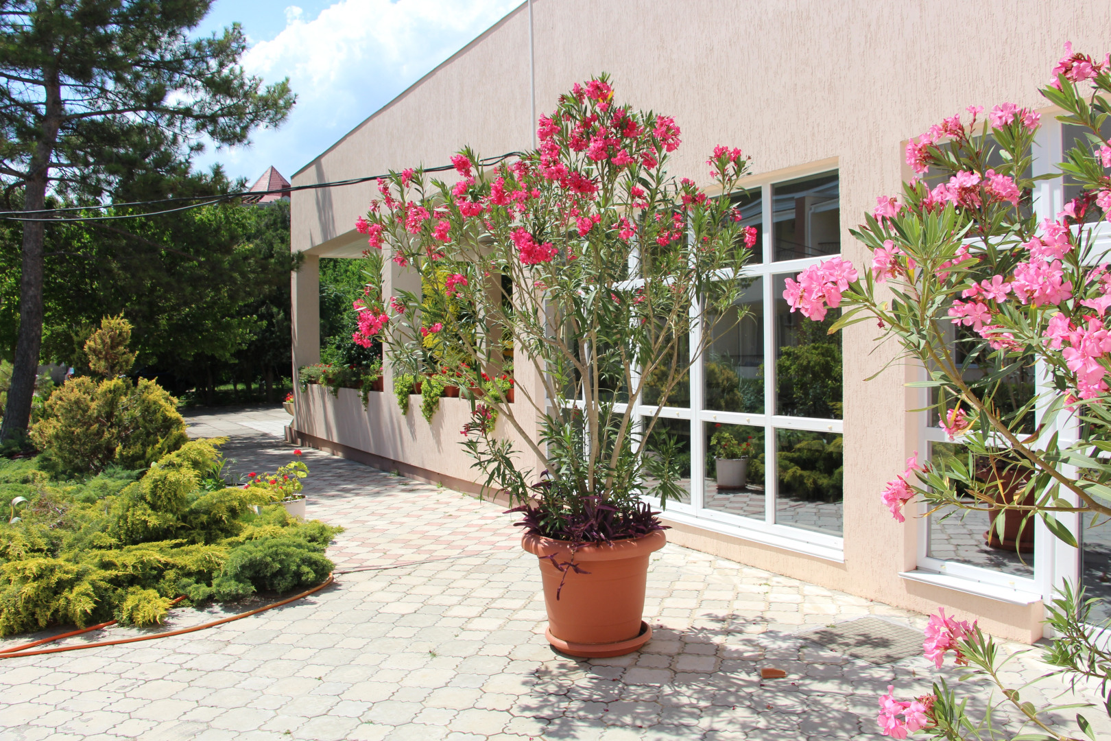 Отель Астра-Центр