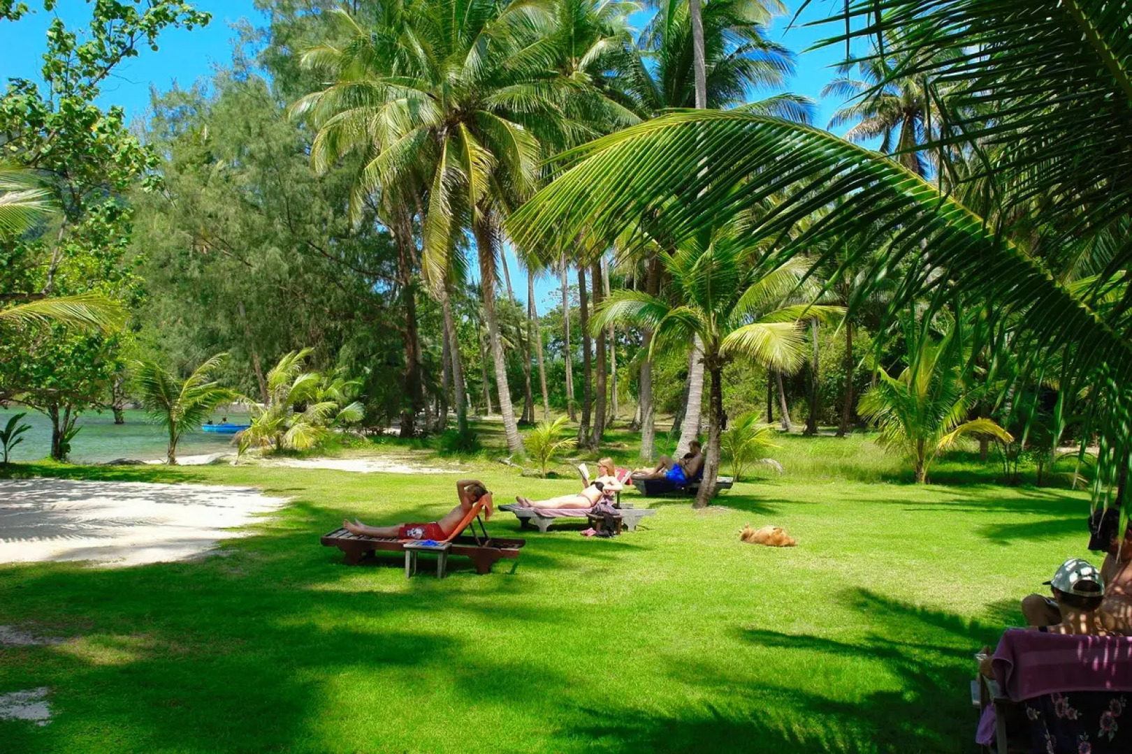 Апартаменты Siam Royal View