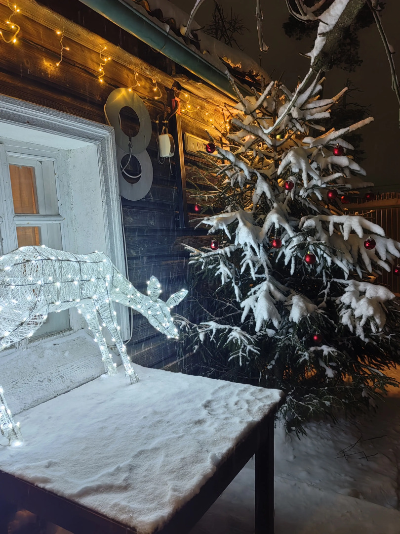 Частный дом в городе Петрозаводске с красивым уединённым участком и баней