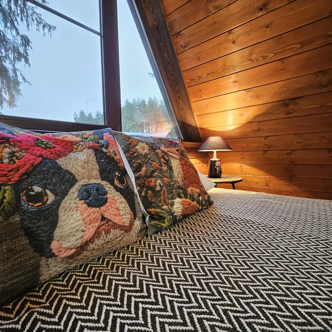 Частный дом темный А-фрейм