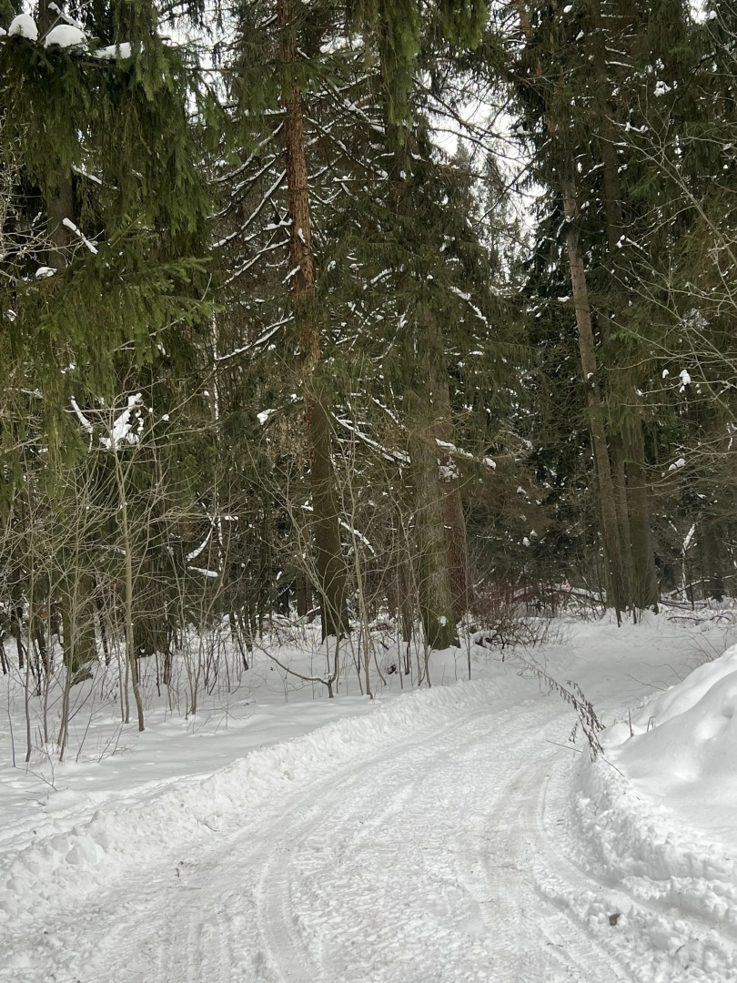 Гостевой дом в Андреевке
