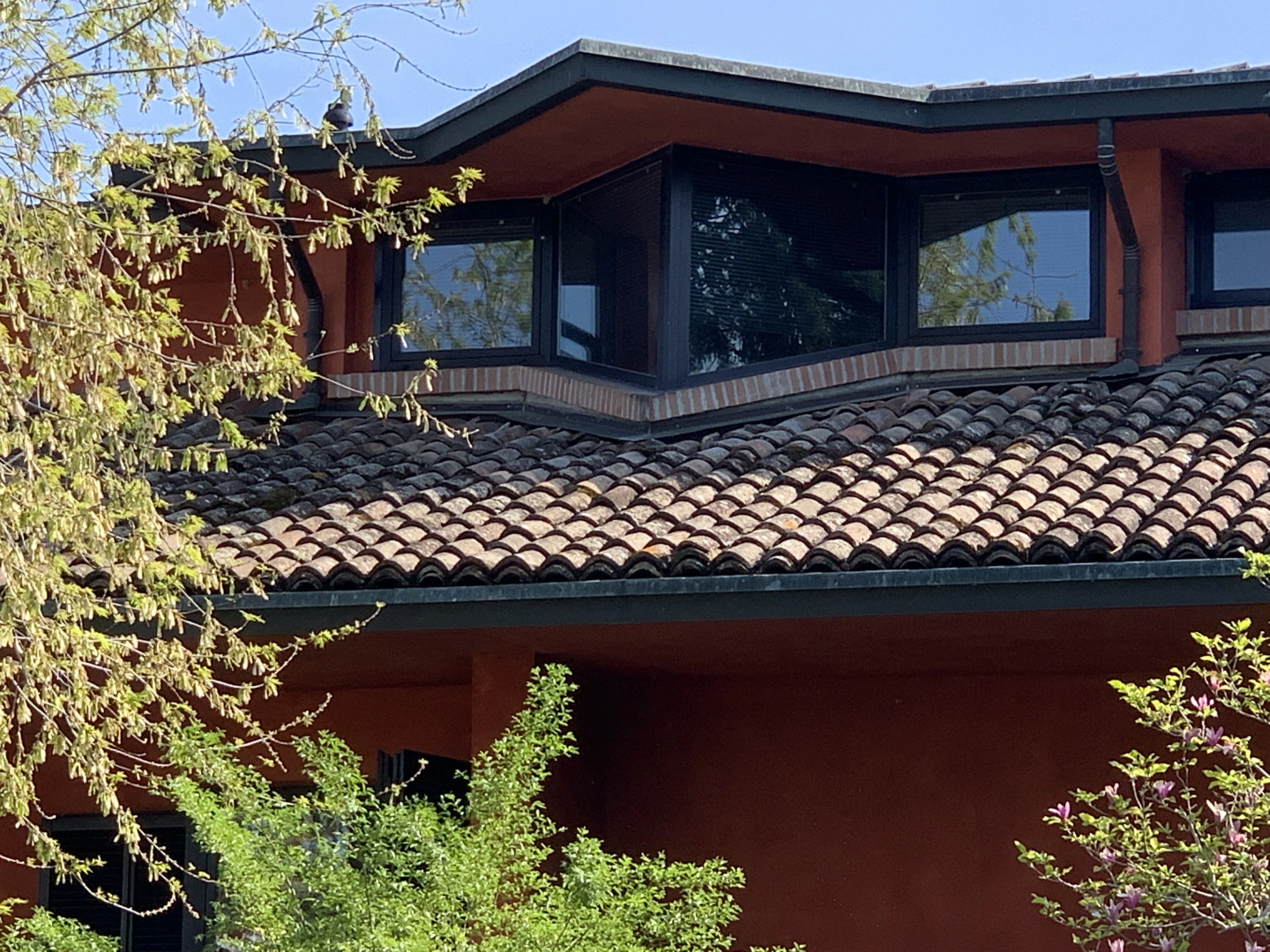 Villa serendipity con piscina