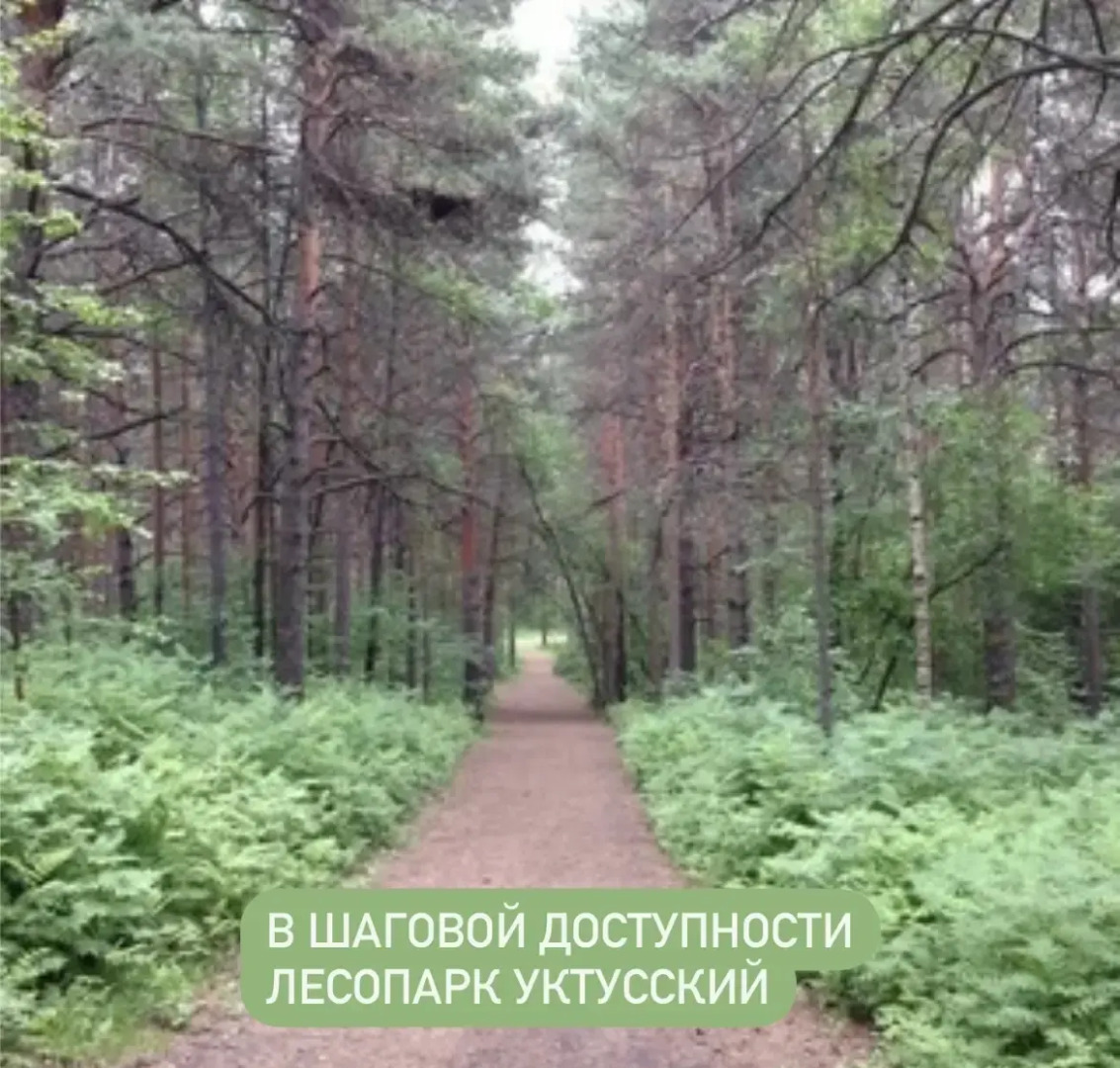 Квартира возле горы Уктус и Баден-Баден