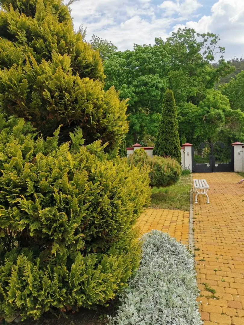 Меблированные Комнаты Миранда Голубая Бухта