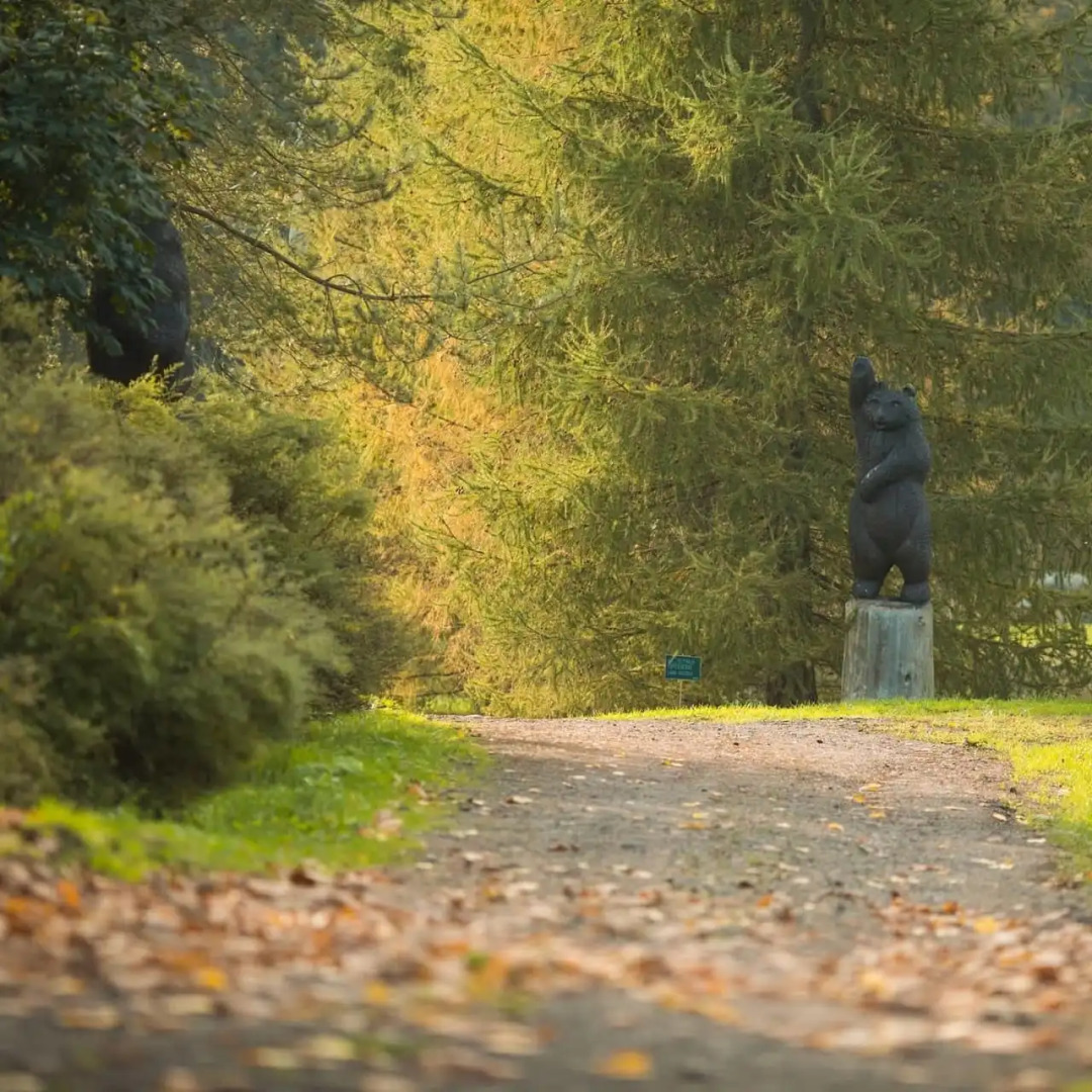 Усадьба Ястребино коттедж Нижний Дом