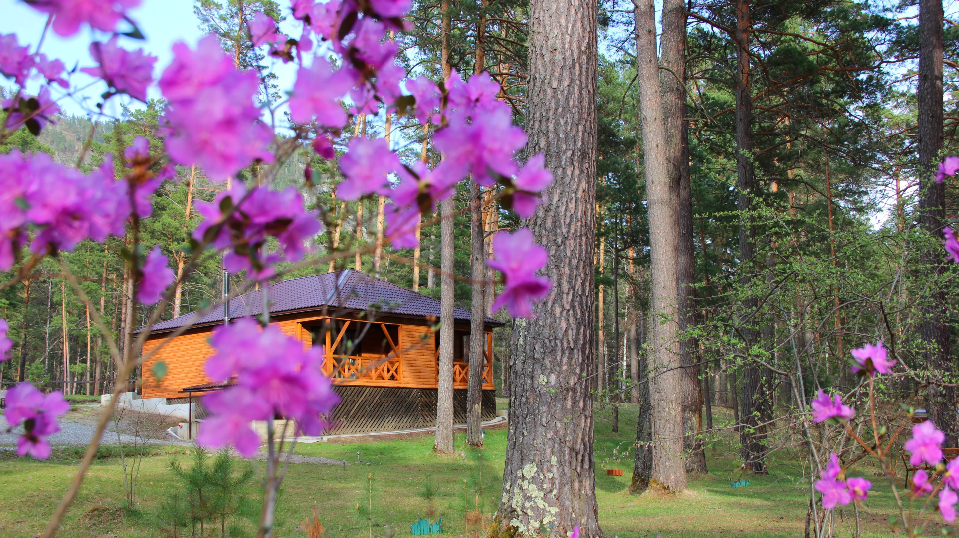 База отдыха Эрандэл