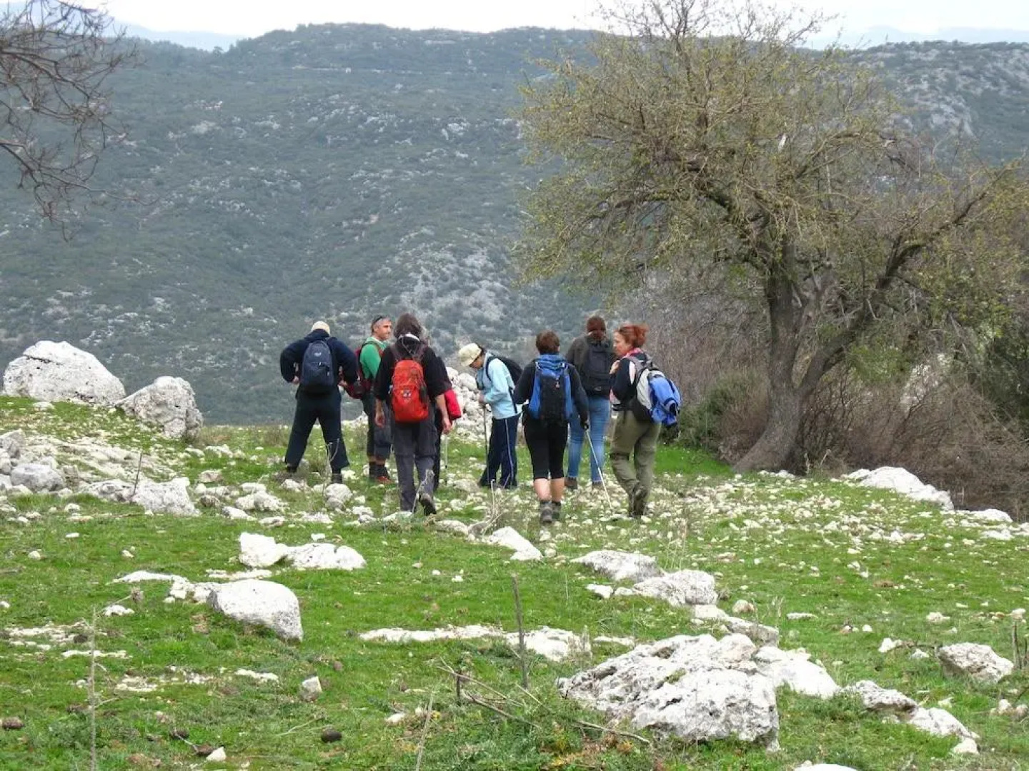 Отель Hoyran Wedre Country Houses