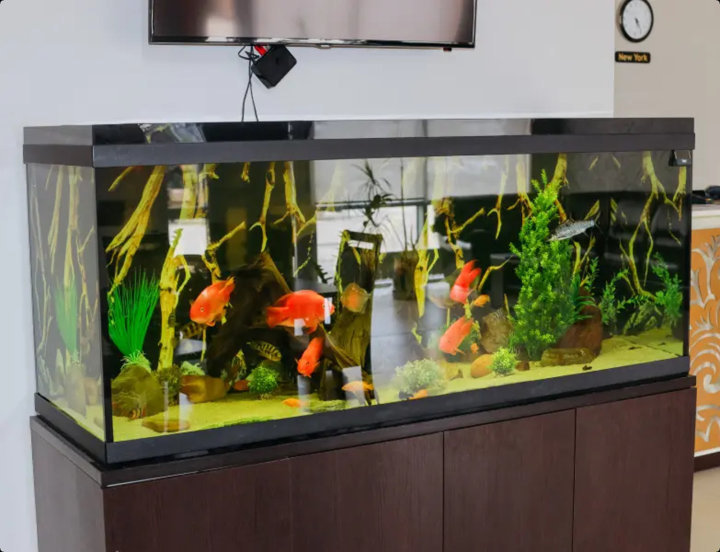 Отель Счастье