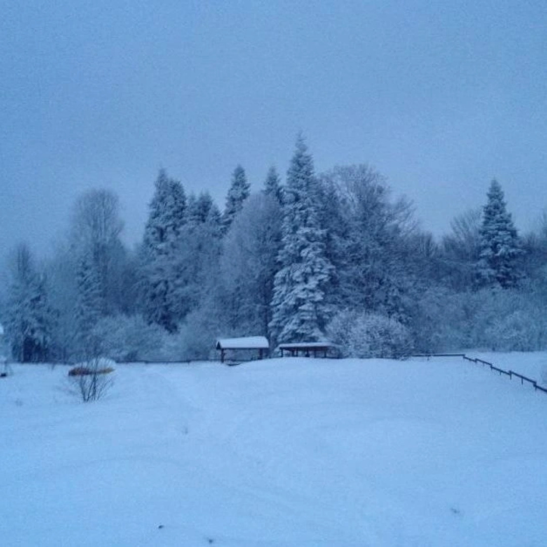 Ферма Колхидские Ворота