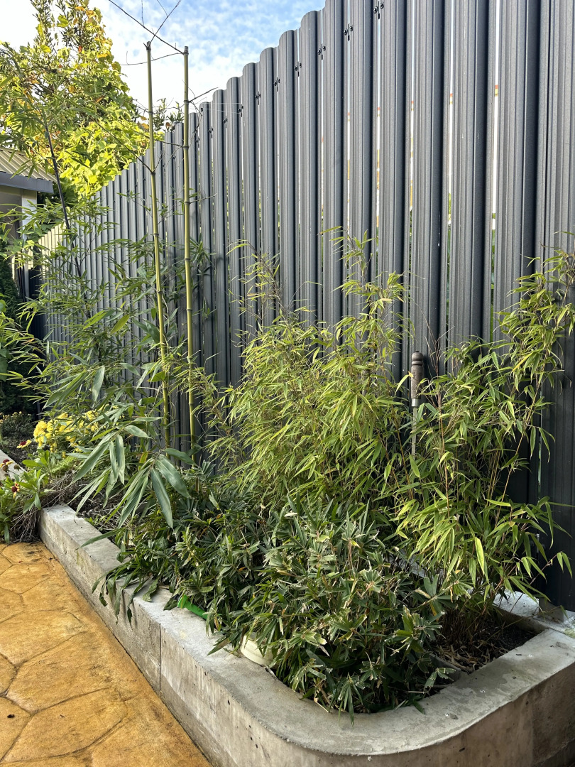 Меблированные комнаты Морской якорь