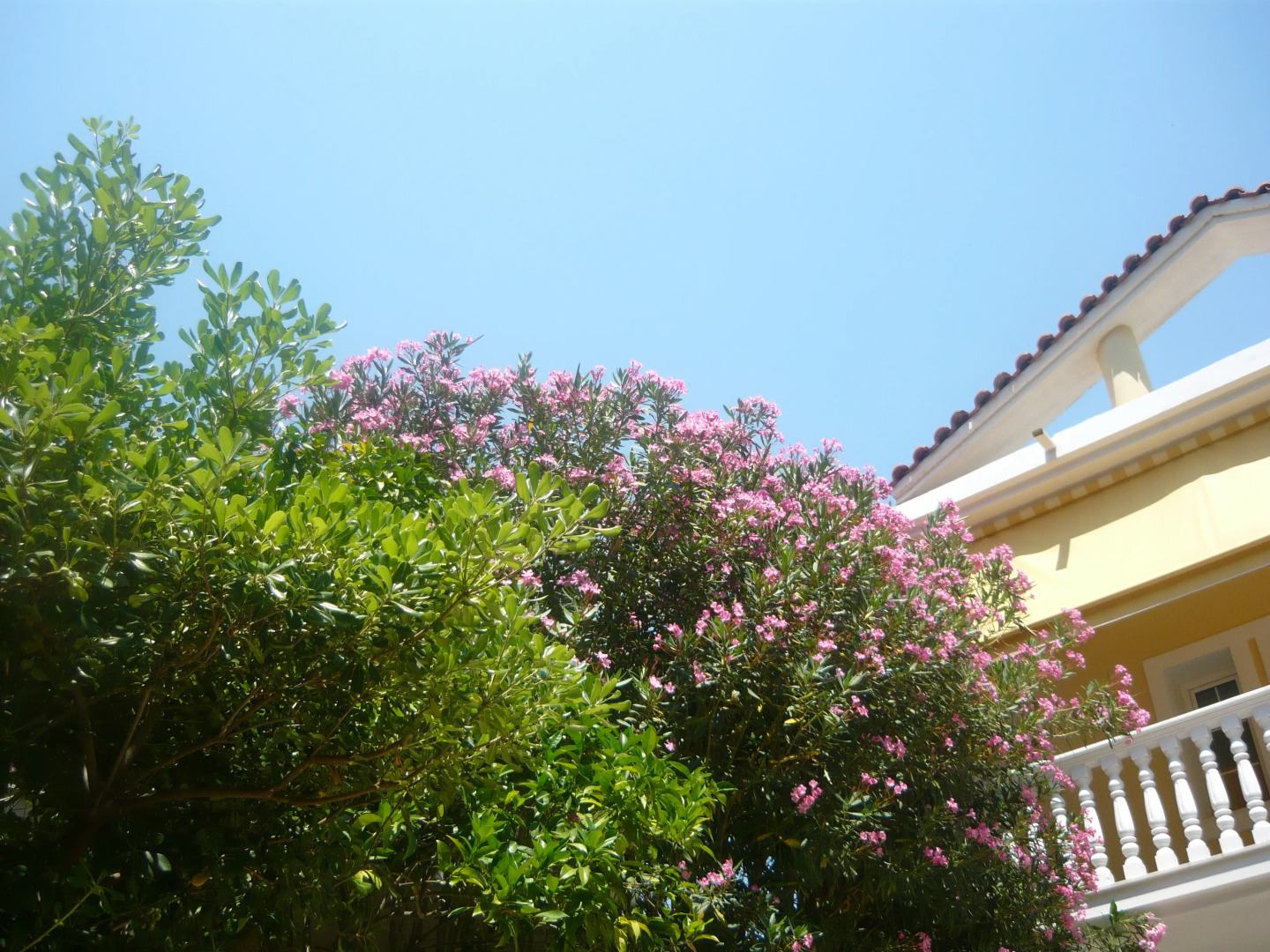 Апартаменты Kuris